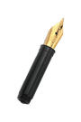 Gold Replacement Steel #2