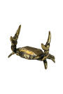 Sassy Brassy Crab