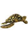 Sassy Brassy Sea Turtle