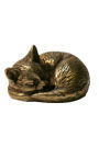 Sweet & Sassy Brassy Cat