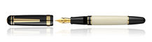 325 14kt Nib