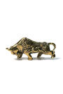 Sassy Brassy Bull