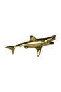 Sassy Brassy Shark