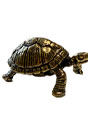 Sassy Brassy Desert Tortoise