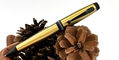 monteverde_invincia_brass_ballpoint_pen