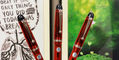 pilot_custom_74_grendine_fountain_pen_by_frames