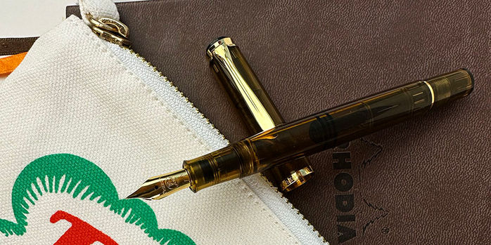 Video-Review: Pelikan M200 Brown Marbled - Scrively - note taking &  writing