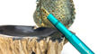 Kaweco_AL_Sport_Fountain_Pens_iguana_blue
