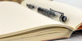 pelikan_m205_demonstrator_fountain_pen_in_notebook