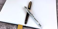 platinum_3776_fountain_pens_2_capped_in_notebook