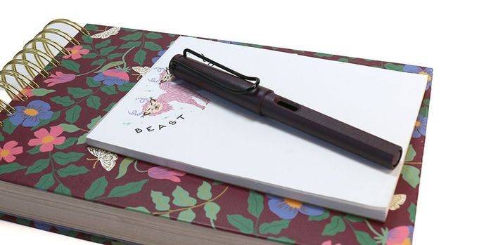 lamy_safari_scarlet_fountain_pen_capped