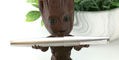 lamy_2000_fountain_pen_brushed_stainless_steel