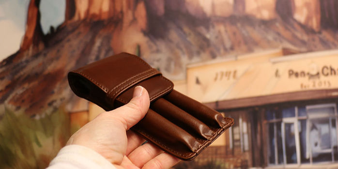 aston_leather_3_pen_carrying_case_in_hand