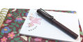 lamy_safari_scarlet_rollerball_on_notebook