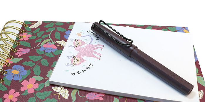 lamy_safari_scarlet_rollerball_on_notebook