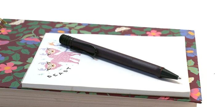 lamy_safari_scarlet_ballpoint_pen_on_notebook
