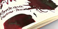monteverde_passion_ink_splash_and_writing_sample