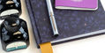 lamy_pur_silver_fountain_pen_capped