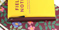 lamy_studio_special_edition_orion_fountain_pens