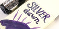 robert_oster_shake_n_shimmy_silver_dawn_fountain_pen_ink_swatch