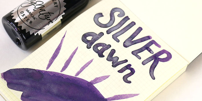 robert_oster_shake_n_shimmy_silver_dawn_fountain_pen_ink_swatch