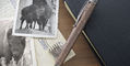 retro_51_smithsonian_bison_strong_pen_zoom
