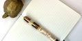 visconti_leonardo_da_vinci_machina_fountain_pen_with_coppertistwu_bronze_tortoise_box