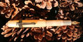 kaweco_sport_collection_apricot_pearl_fountain_pens_with_clip_posted