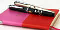 platinum_limited_edition_maki_e_procyon_fountain_pens