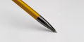 Mimosa_Ritma_Monteverde_Zoom_Nib