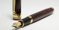 wahl_eversharp_decoband_fountain_pen_in_rosewood