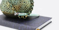waldmann_tango_imagination_rollerball_pen_aquamarine_in_vase