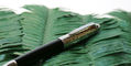 waldmann_precieux_fountain_pen_on_greenery