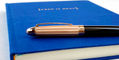 waldmann_precieux_rollerball_pen