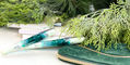 benu_talisman_mistletoe_2021_limited_edition_christmas_fountain_pen