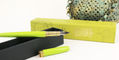 ferris_wheel_press_duck_duck_goose_brush_fountain_pen_uncapped