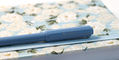 ferris_wheel_press_carousel_fountain_pen_tides_of_midas_capped