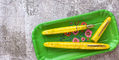 esterbrook_limited_edition_sunflower_estie_fountain_pens