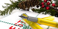 opus_88_koloro_demo_2021_holiday_edition_fountain_pen_nib