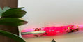 benu_limited_edition_wild_rose_talisman_fountain_pen_cap