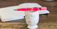 benu_talisman_wild_rose_fountain_pen