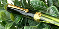 penlux_masterpiece_delgado_moss_fountain_pen_cap