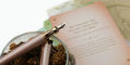 otto_hutt_design_06_fountain_pen_seashell_pink