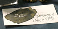 wearingeul_natsume_soseki_ink_collection_i_am_cat_ink_swatch