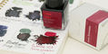 wearingeul_world_literature_anna_karenina_ink_swatch_on_notebook