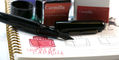 wearingeul_world_literature_carmilla_ink_swatch