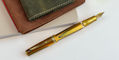 armani_simoni_club_bengal_tiger_fountain_pen