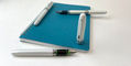 Platinum_Plaisir_Color_of_the_Year_Aura_Fountain_Pens