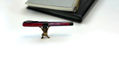 pineider_arco_stilo_rainbow_fountain_pen_with_cat_far_away