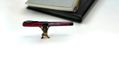 pineider_arco_stilo_rainbow_fountain_pen_with_cat_far_away